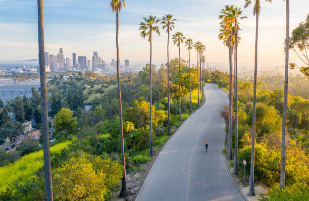 A distance view of the City of Los Angeles with a road and palm trees