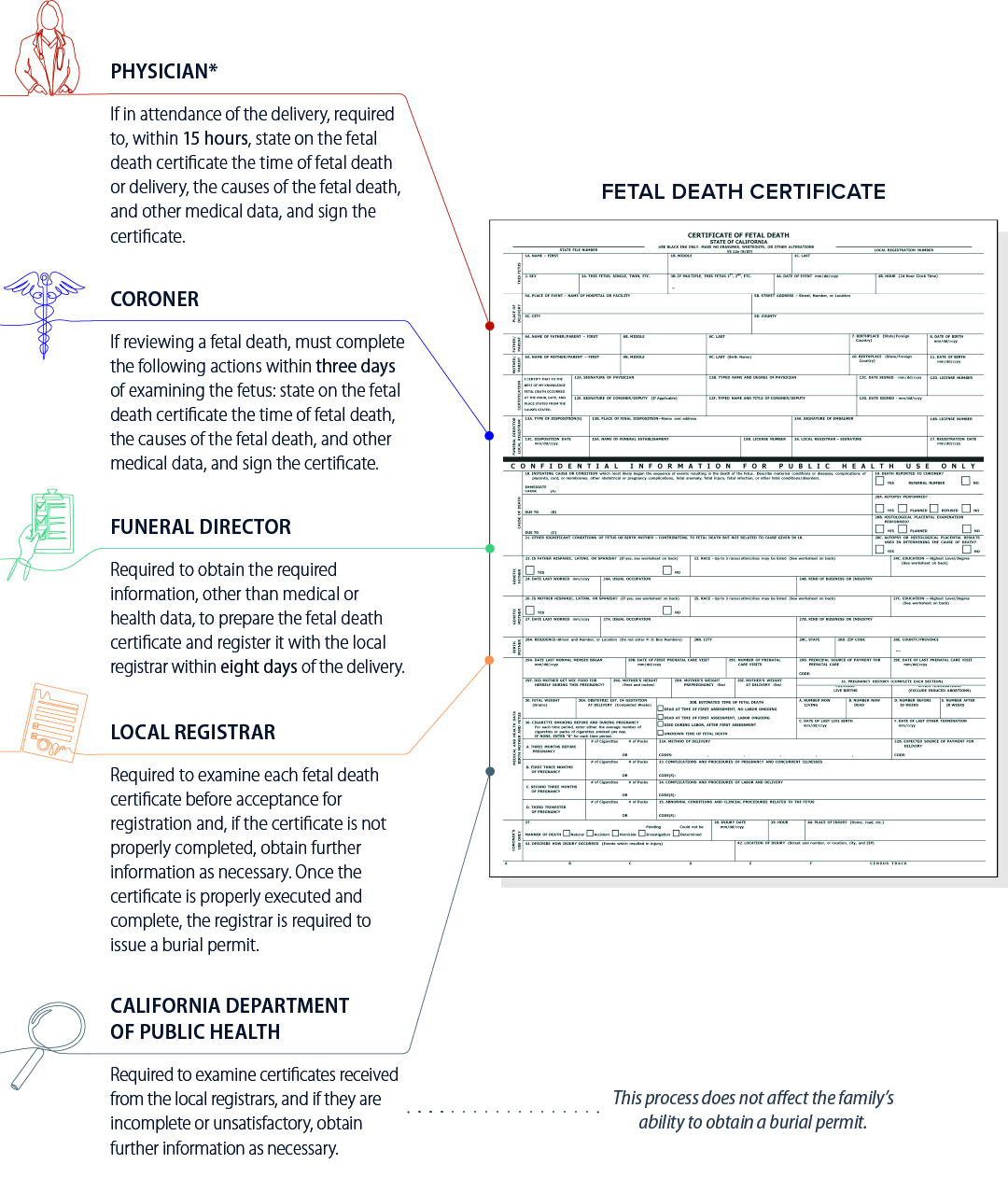 A figure displaying the various parties involved in the fetal death registration process, and their responsibilities as established by state law.