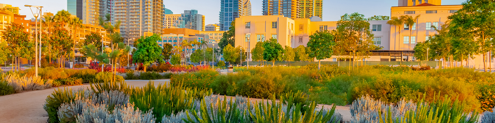 Well landscaped park with city downtown buildings in the background