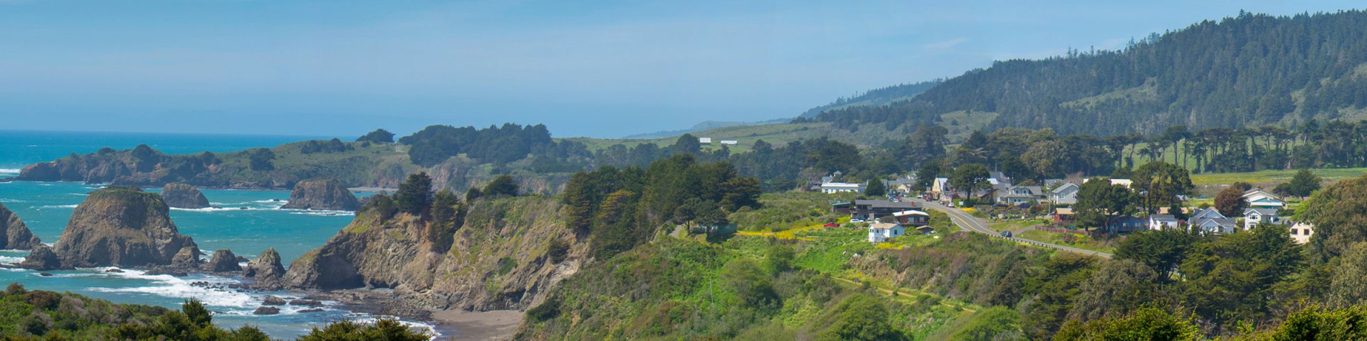 The Mendocino County, California coast in springtime.