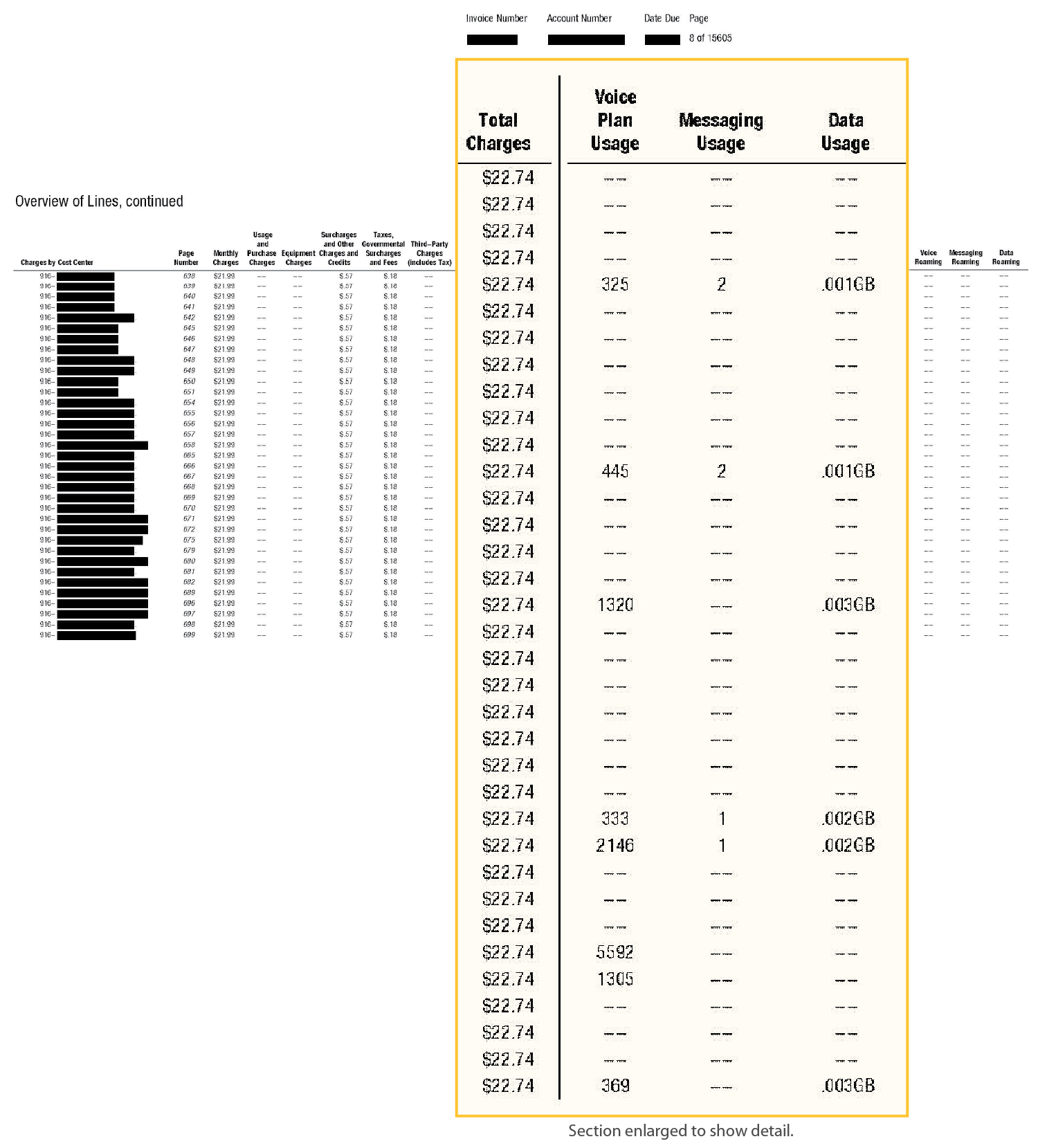 Excerpt of Invoice That Displays Charges for Many Lines With Zero Usage