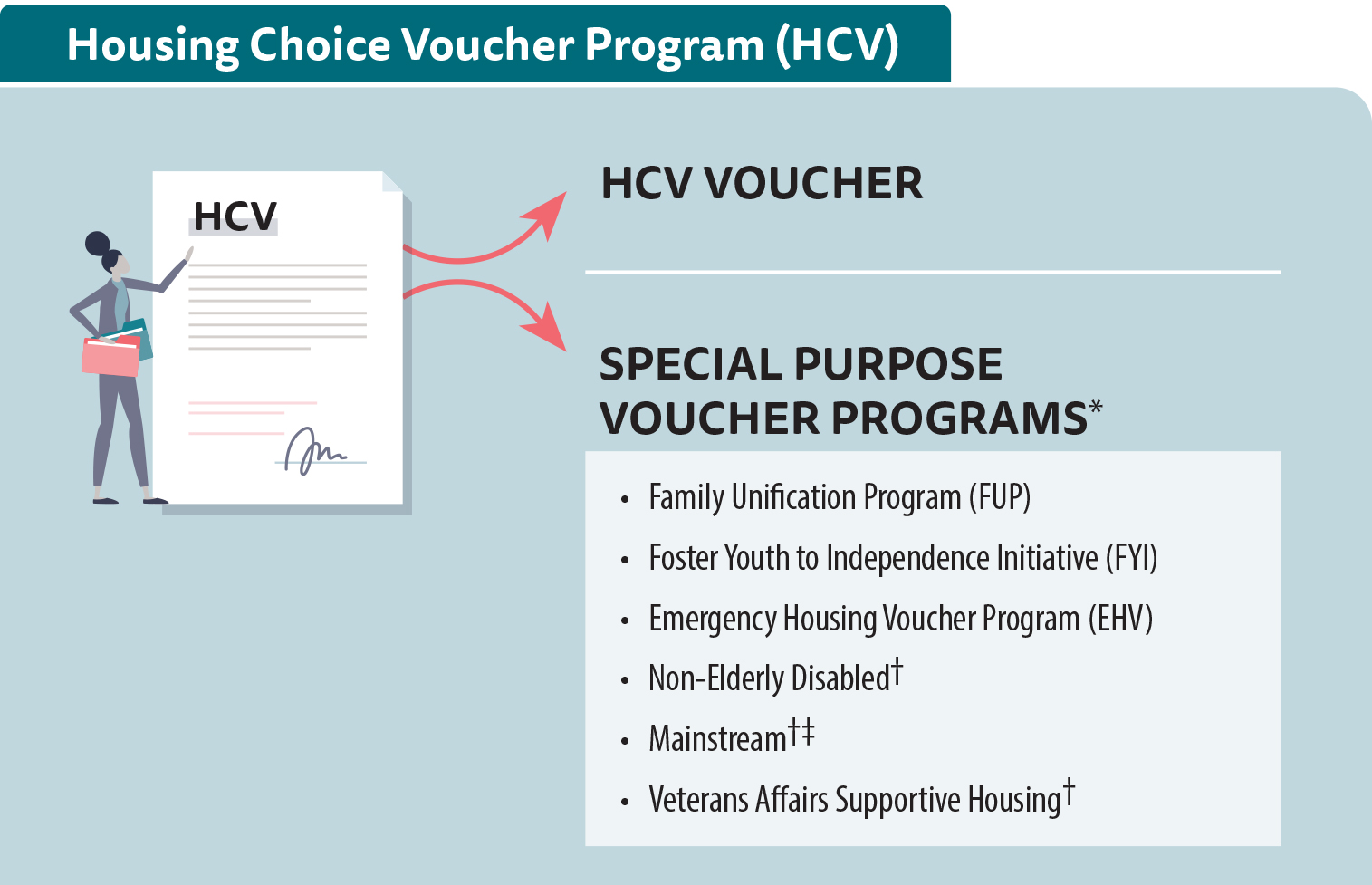The Housing Choice Voucher Program, in addition to providing standard HCV vouchers, includes several Special Purpose Voucher Programs that provide rental assistance to targeted populations.