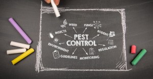 Chalkboard with Pest Control in the middle and various aspects of oversight.