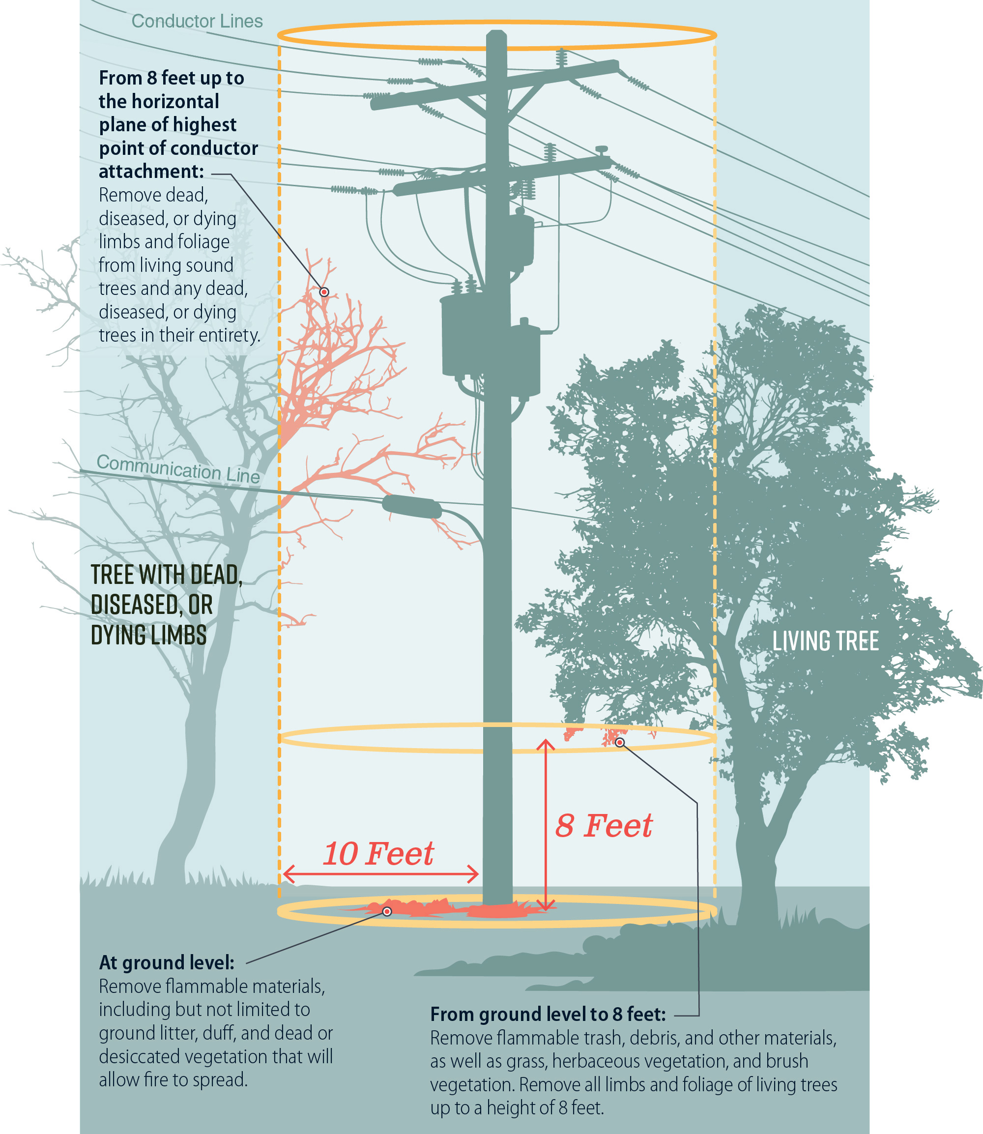 A graphic showing a transmission line pole the different vegetation clearance standards SCE attempts for poles in the park.