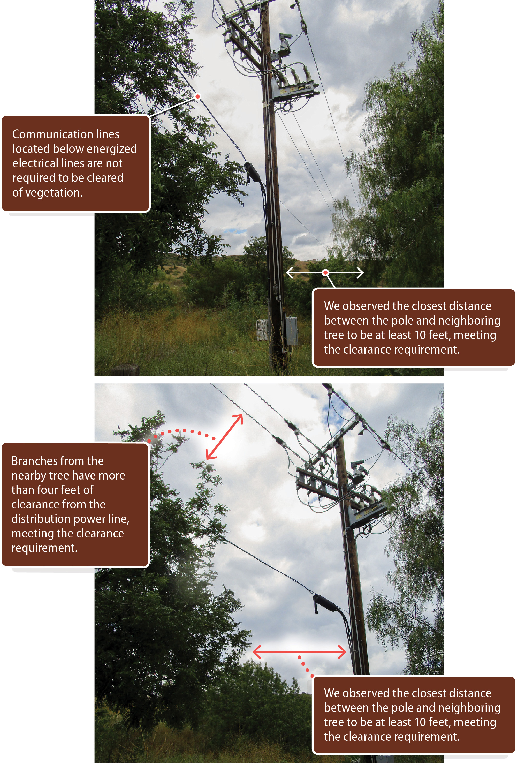 Two annotated photos from our team’s site visit showing vegetation clearance around a pole in the park.