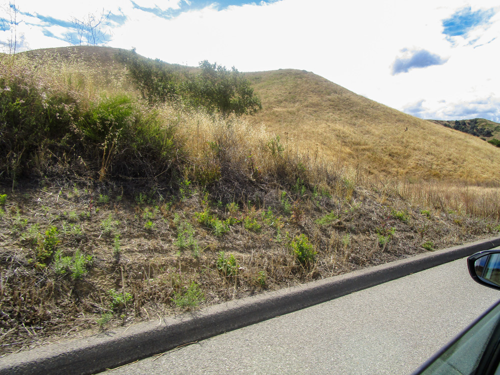 Photo 22 appears to be taken from a car window, and the car appears to be on a road. The photo features a roadside with a curb. On the other side of the curb, there is a yellow hill.
