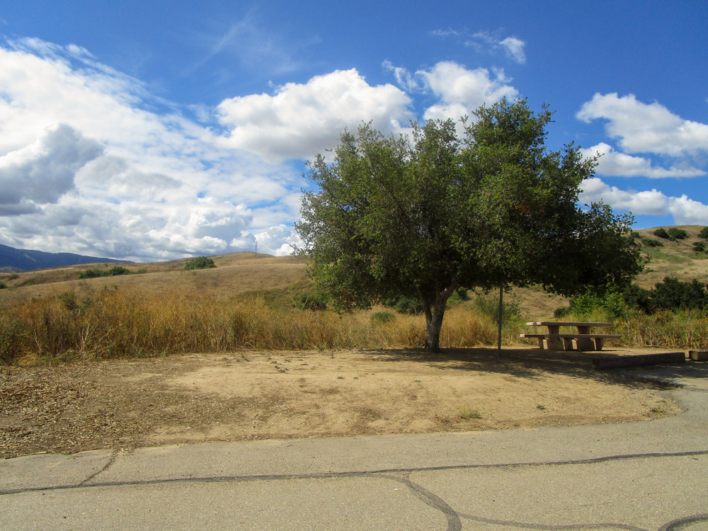 Photo 11 appears to be taken from a road and features a picnic table shaded by a green, leafy tree. The immediate area around the tree and table is clear of debris and appears to be dry dirt. The area surrounding the dirt area features a hillside covered in tall, dry-yellow grass.