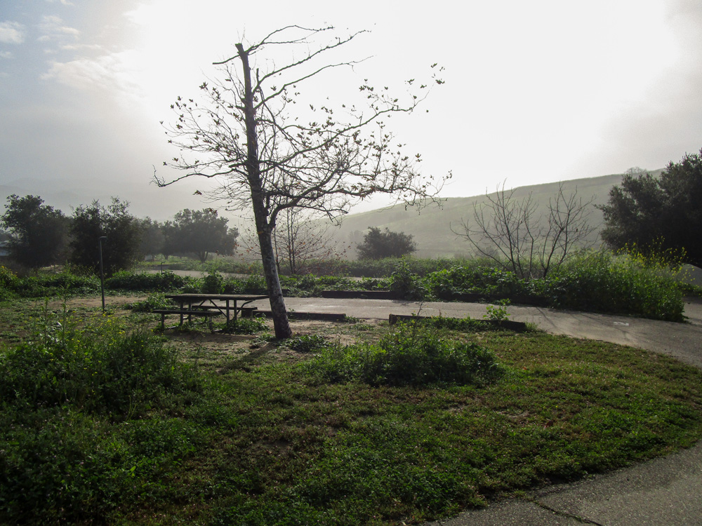 Photo 1 features a thin road, a tree, and a picnic table, surrounded by green grass or shrubbery. There is a hill in the background.