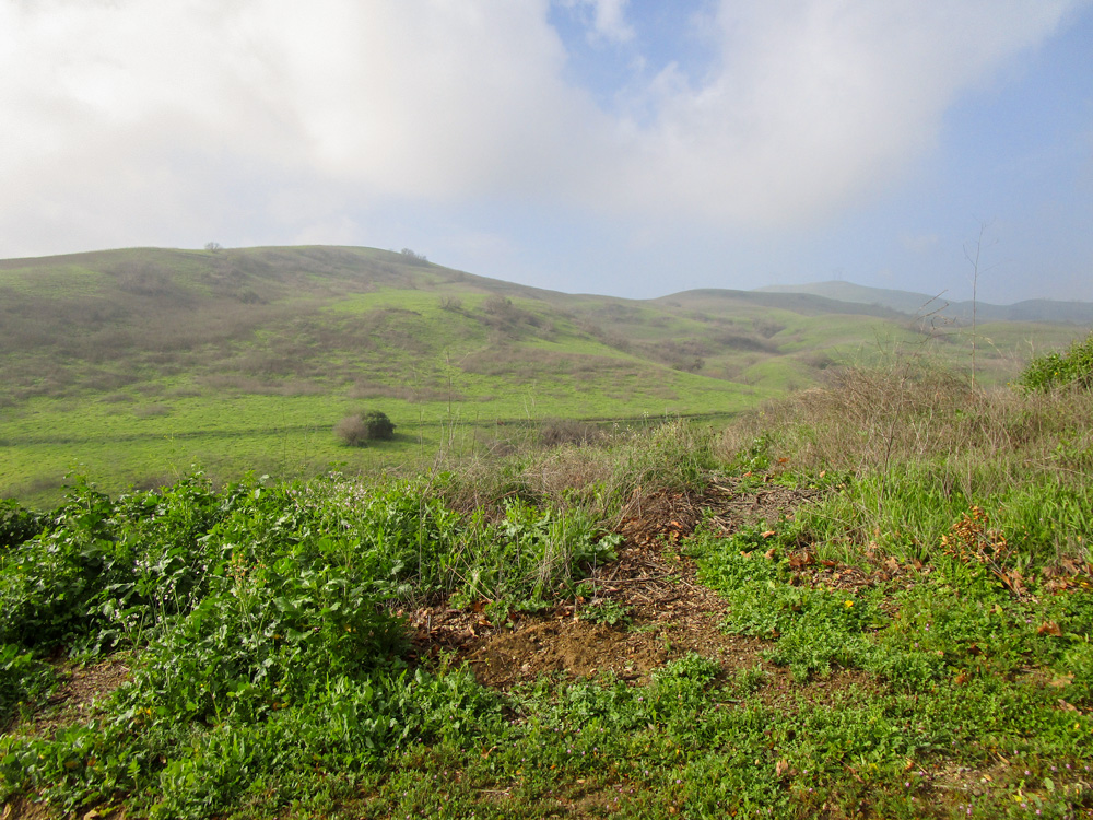 Photo 10 pictures a green hillside. In the foreground, there appears to be grassland. On the hill in the background, there appears to be chaparral.