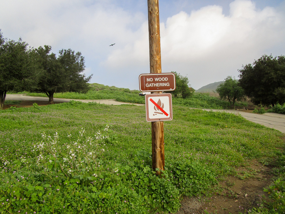 Photo 9 features a pole with two signs. The first sign reads, “no wood gathering.” The second sign is a crossed out photo of a campfire, indicating that campfires are not allowed. The pole sits within a green, grassy area. A thin road curves through the park in the background. Additionally, there are multiple trees in the background.
