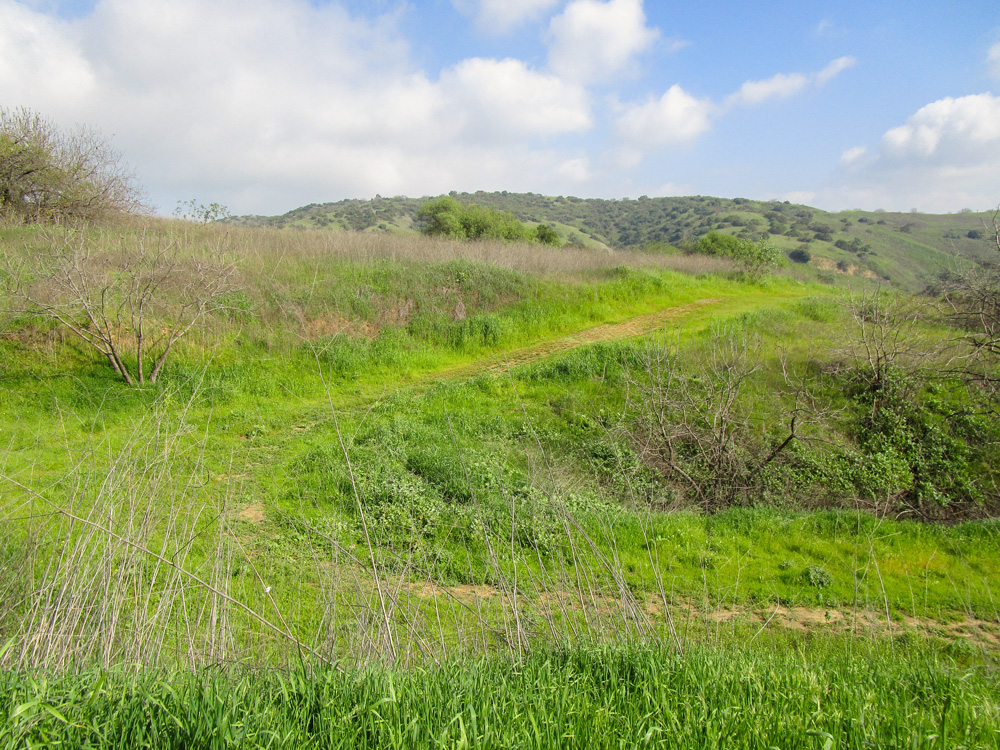 Photo 8 features what appears to be a hill side covered in green grassland and chapparal or shrubbery. There is a thin trail-like, dirt path cutting through the grass, which is referred to as the Olinda Fuelbreak.